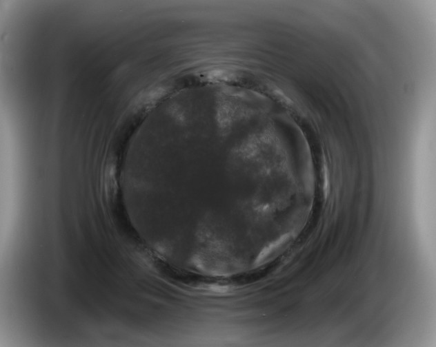 X0000086260506200704122012