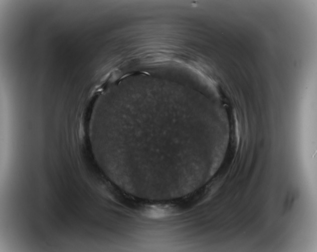 X0000086260508200704122012