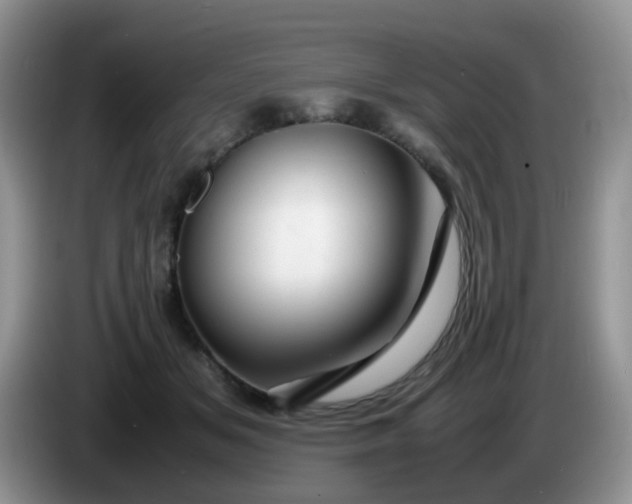X0000086260509200704122012