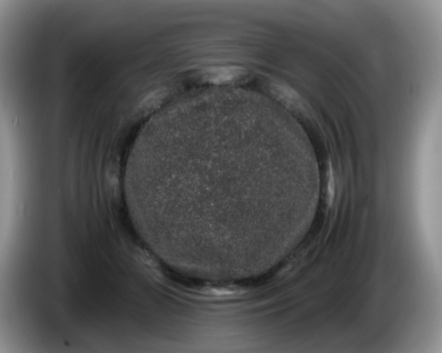 X0000086260510200704122012