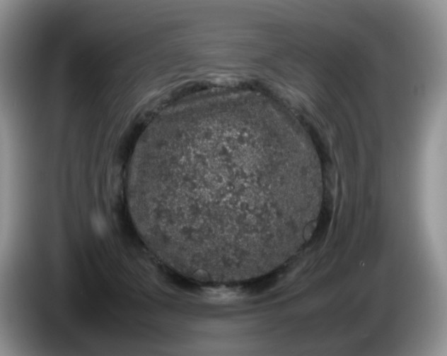 X0000086260511200704122012