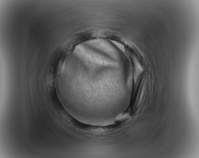 X0000086260513200704122012
