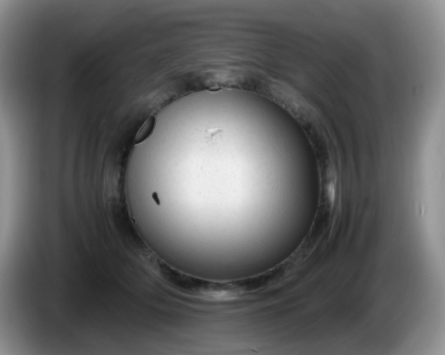 X0000086260514200704122012