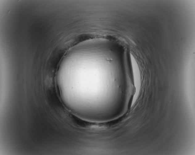 X0000086260515200704122012