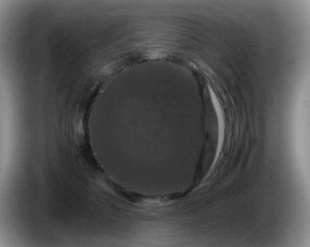 X0000086260516200704122012