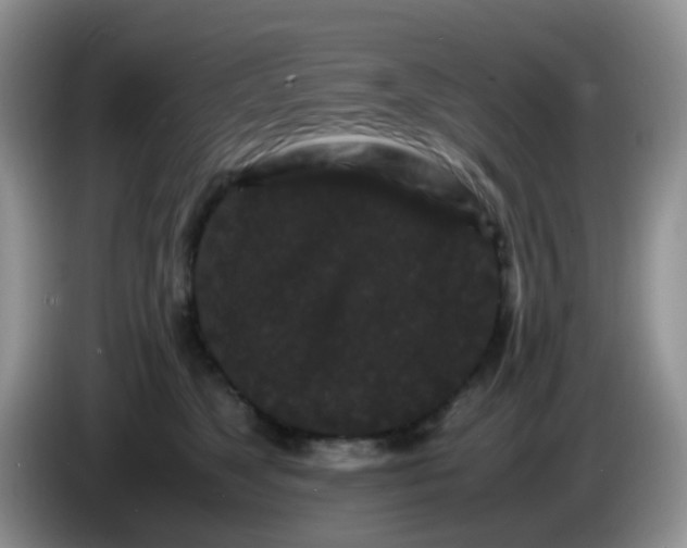 X0000086260517200704122012
