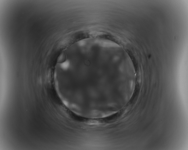 X0000086260519200704122012
