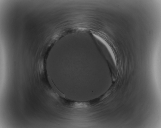 X0000086260520200704122012
