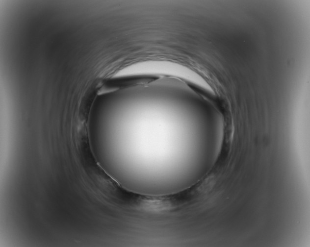 X0000086260521200704122012