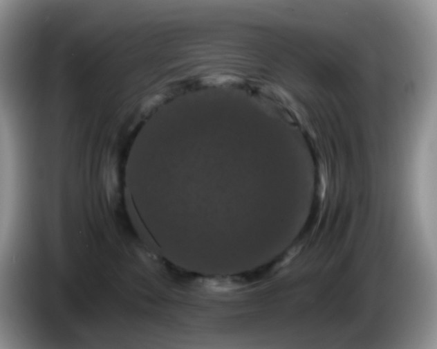 X0000086260524200704122012