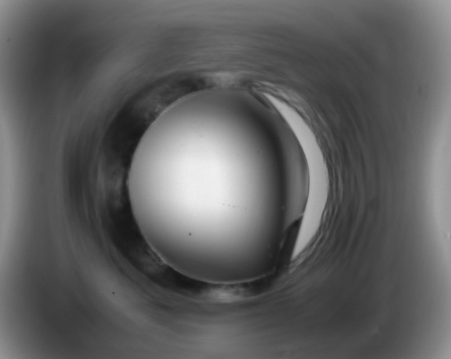 X0000086260525200704122012