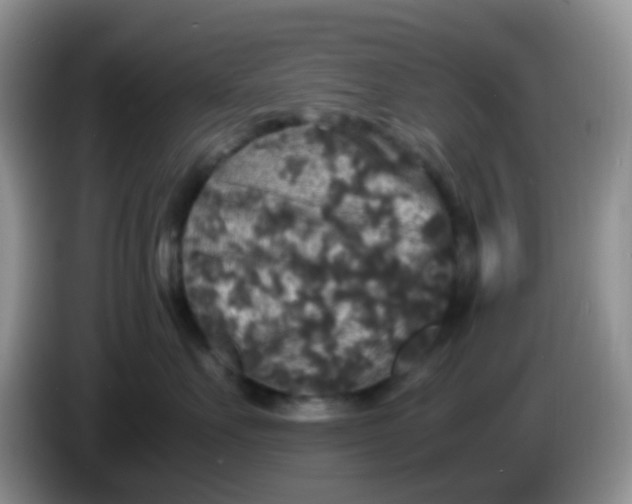 X0000086260527200704122012