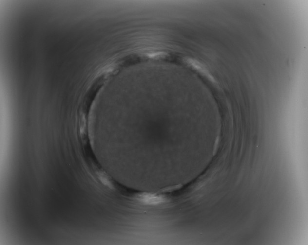 X0000086260528200704122012