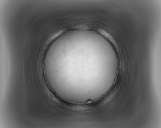 X0000086260529200704122012