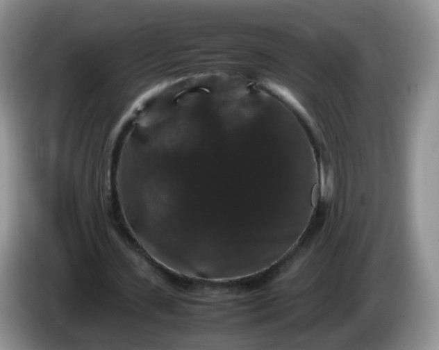 X0000086260531200704122012