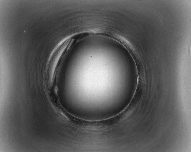 X0000086260532200704122012
