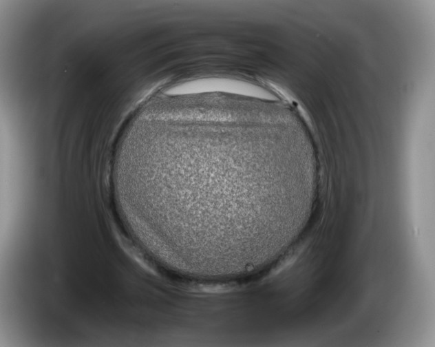 X0000086260533200704122012
