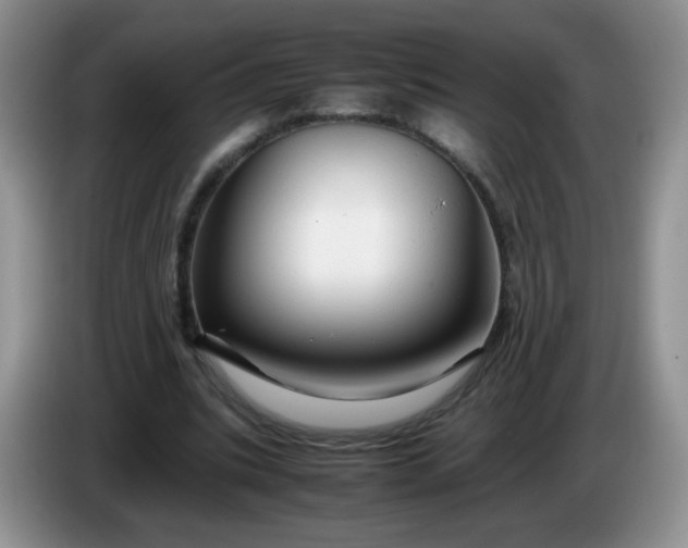 X0000086260535200704122012
