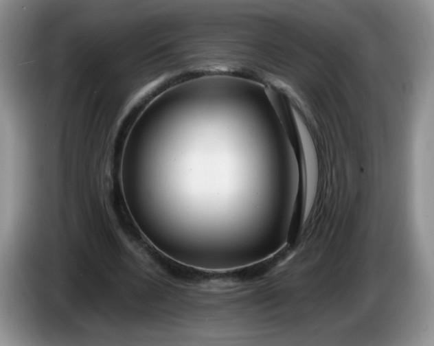X0000086260536200704122012