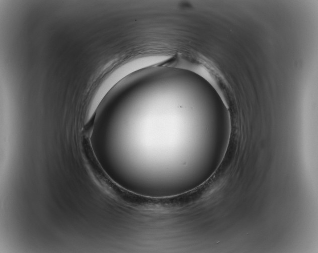 X0000086260538200704122012