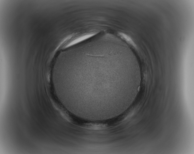 X0000086260539200704122012