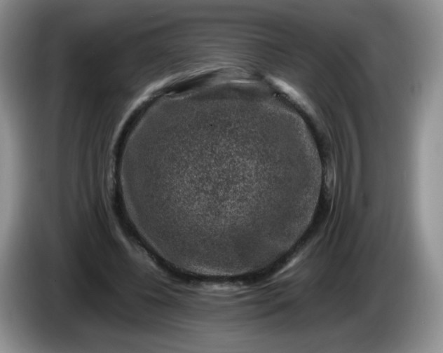 X0000086260540200704122012