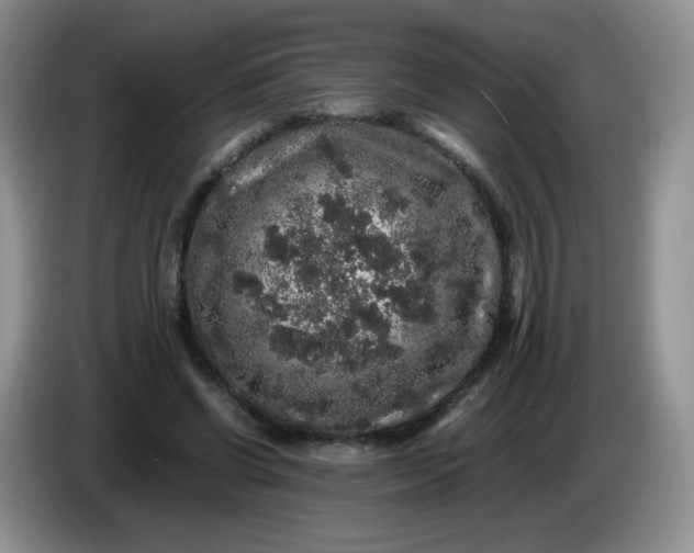 X0000086260542200704122012