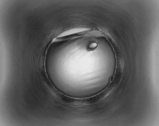X0000086260545200704122012