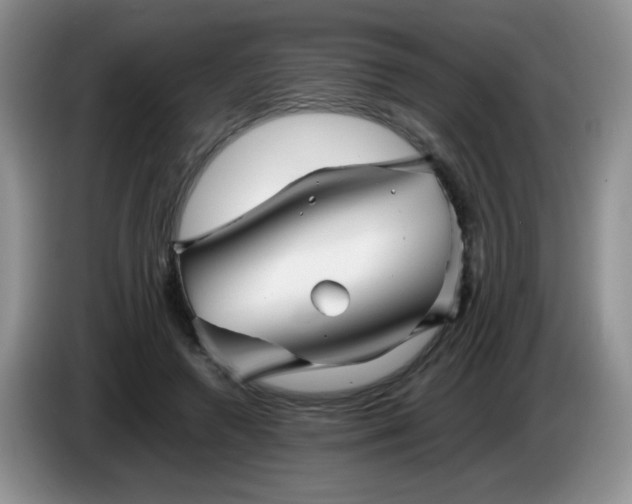 X0000086260546200704122012