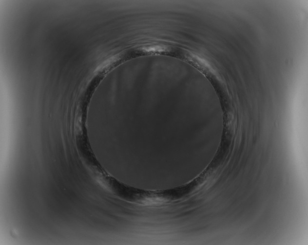 X0000086260547200704122012