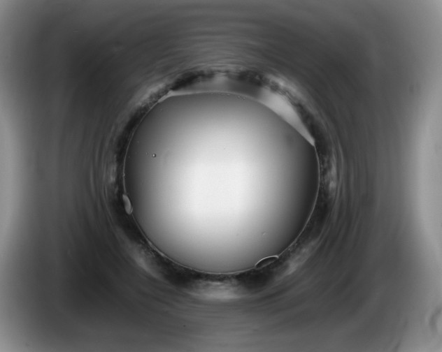 X0000086260548200704122012