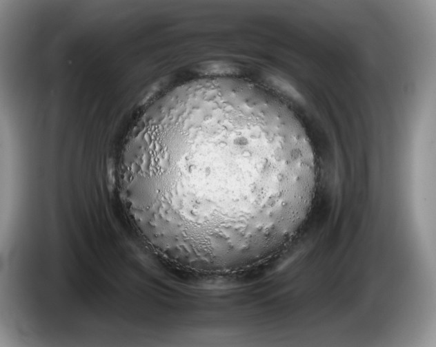 X0000086260549200704122012