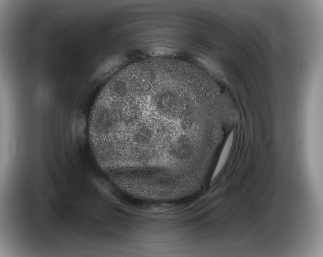 X0000086260550200704122012