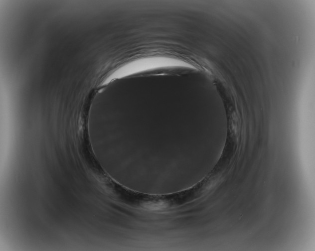 X0000086260551200704122012