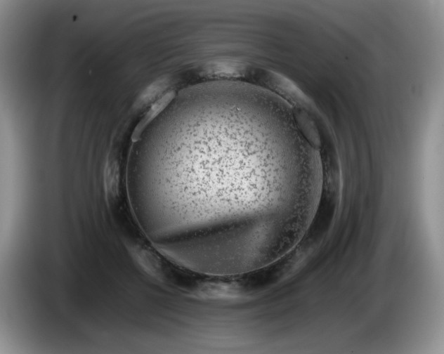 X0000086260552200704122012