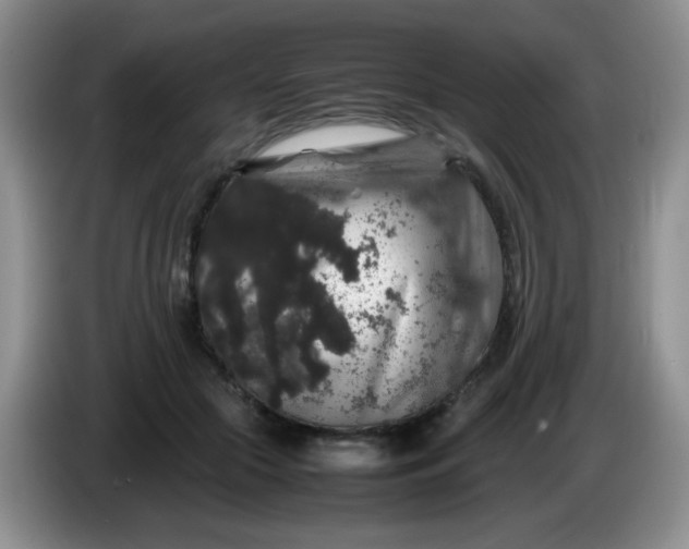 X0000086260553200704122012