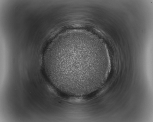 X0000086260554200704122012