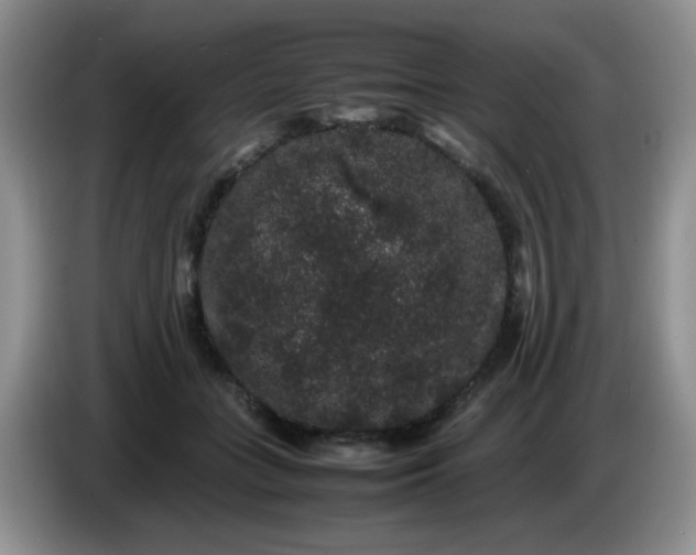 X0000086260555200704122012