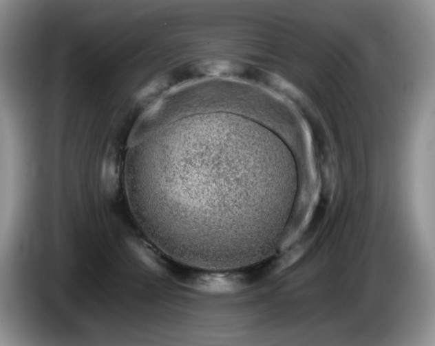 X0000086260558200704122012