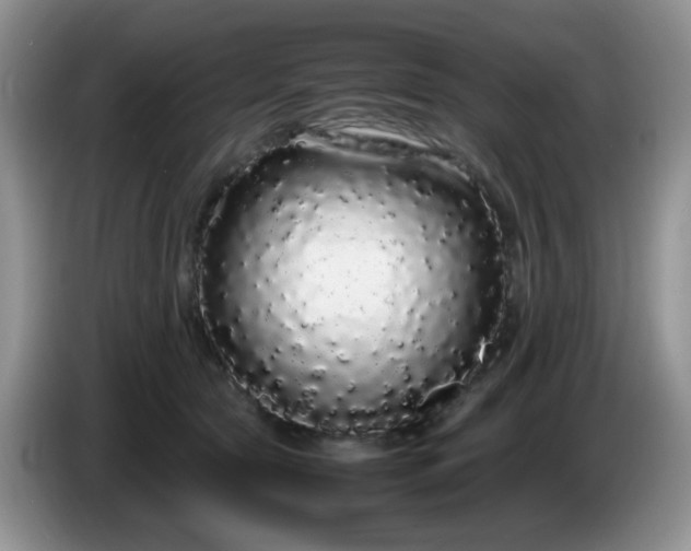 X0000086260561200704122012
