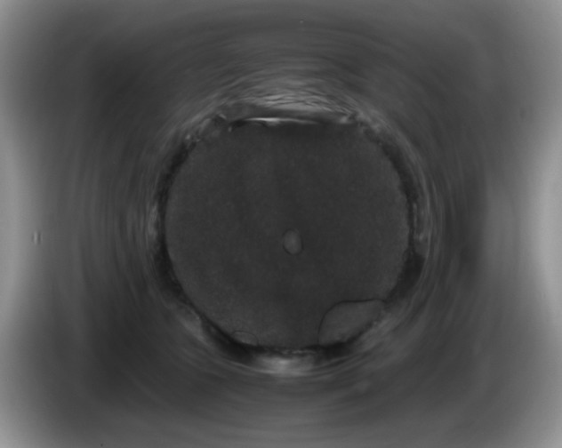 X0000086260563200704122012
