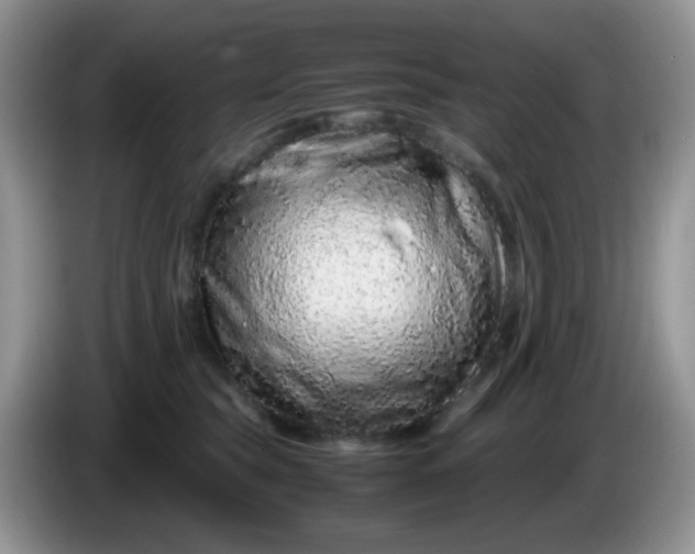 X0000086260565200704122012