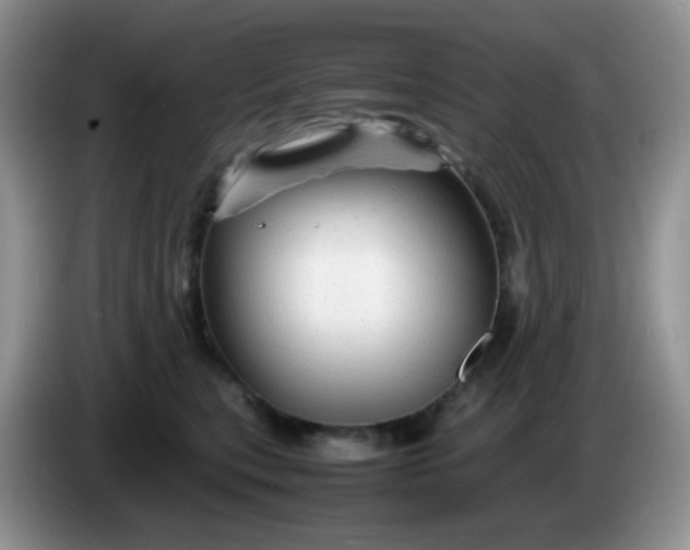 X0000086260567200704122012