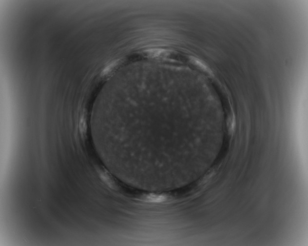 X0000086260570200704122012