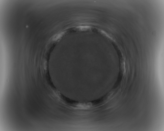 X0000086260571200704122012