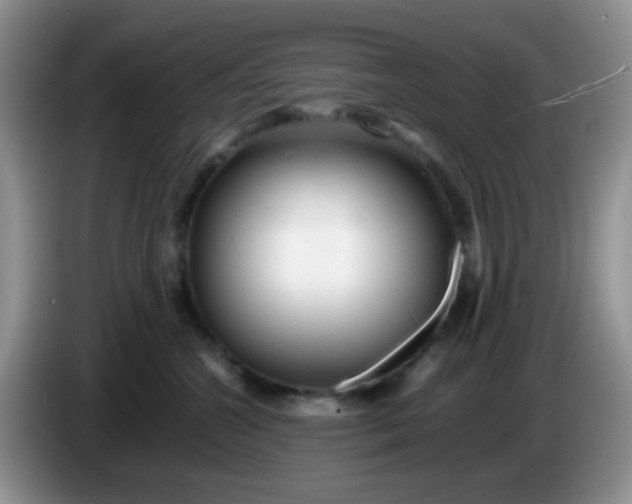 X0000086260572200704122012