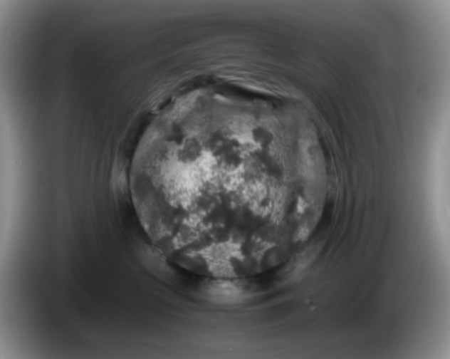 X0000086260573200704122012
