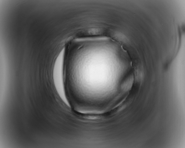 X0000086260575200704122012