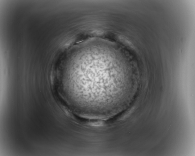 X0000086260576200704122012
