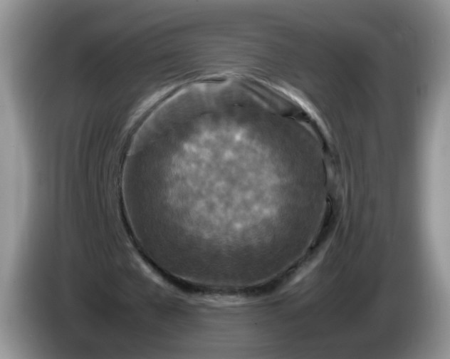 X0000086260577200704122012